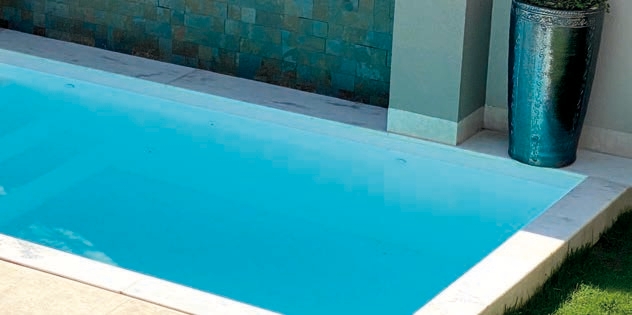 Elegance ceramic tile fiberglass pool with stone deck in a Kansas City luxury backyard